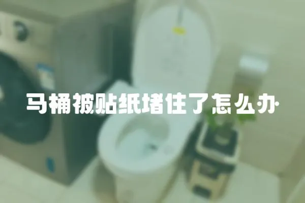馬桶被貼紙堵住了怎么辦