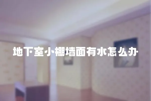 地下室小棚墻面有水怎么辦
