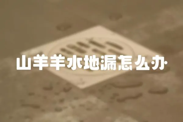 山羊羊水地漏怎么辦