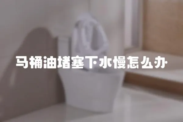 馬桶油堵塞下水慢怎么辦