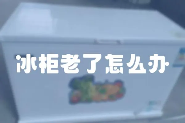 冰柜老了怎么辦