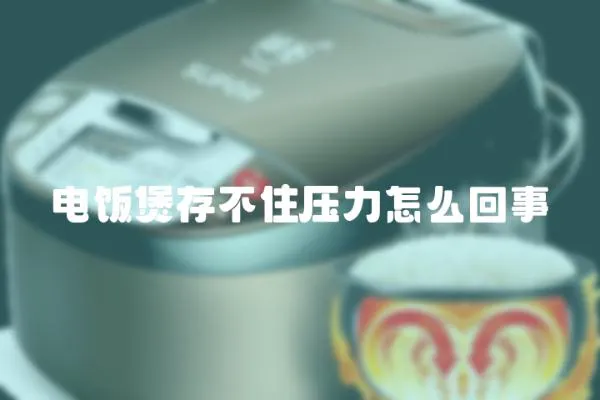 電飯煲存不住壓力怎么回事