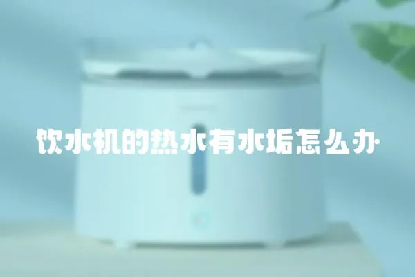 飲水機的熱水有水垢怎么辦