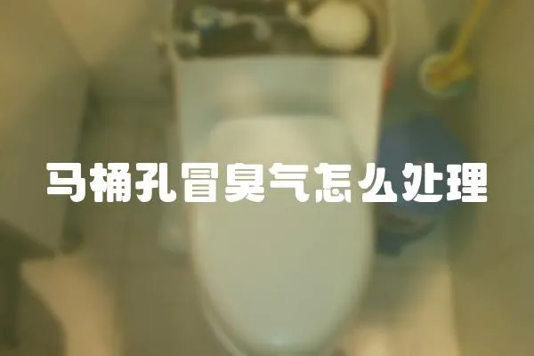 馬桶孔冒臭氣怎么處理