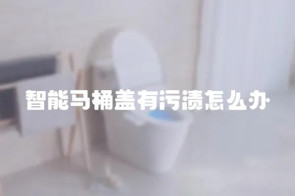 智能馬桶蓋有污漬怎么辦