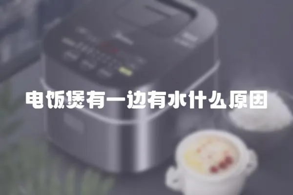 電飯煲有一邊有水什么原因