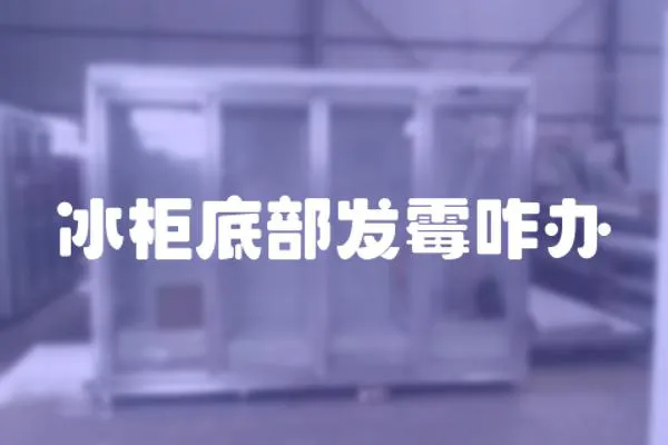 冰柜底部發霉咋辦