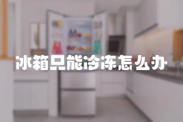 冰箱只能冷凍怎么辦
