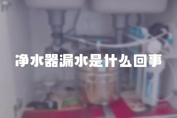 凈水器漏水是什么回事