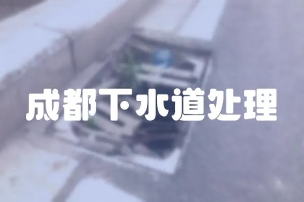 成都下水道處理