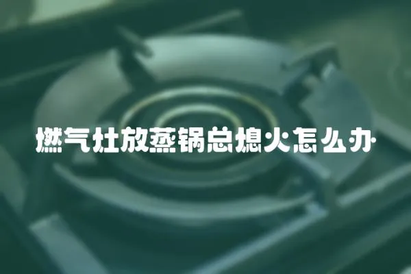 燃?xì)庠罘耪翦伩傁ɑ鹪趺崔k