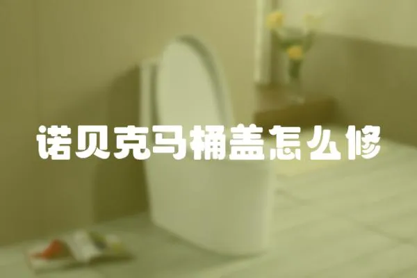 諾貝克馬桶蓋怎么修
