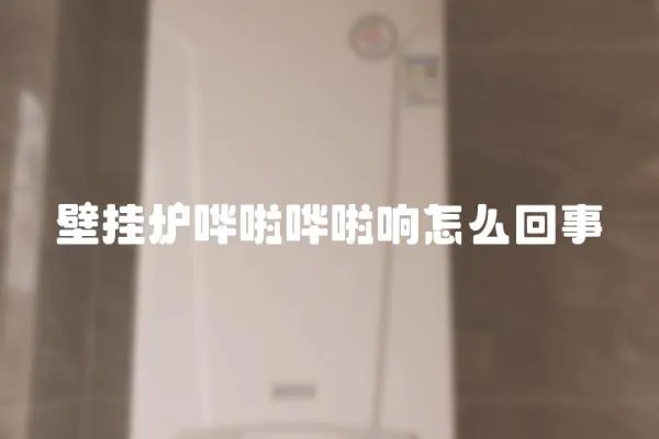 壁掛爐嘩啦嘩啦響怎么回事