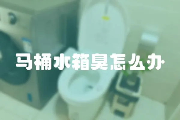 馬桶水箱臭怎么辦