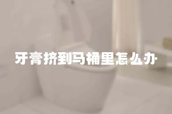 牙膏擠到馬桶里怎么辦