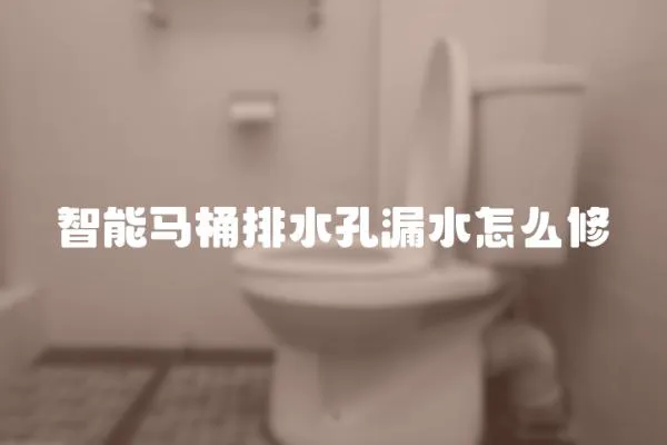 智能馬桶排水孔漏水怎么修