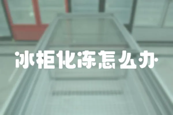 冰柜化凍怎么辦