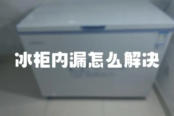 冰柜內漏怎么解決