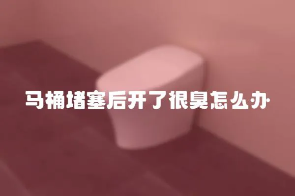 馬桶堵塞后開了很臭怎么辦