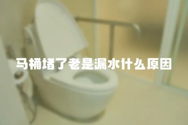 馬桶堵了老是漏水什么原因