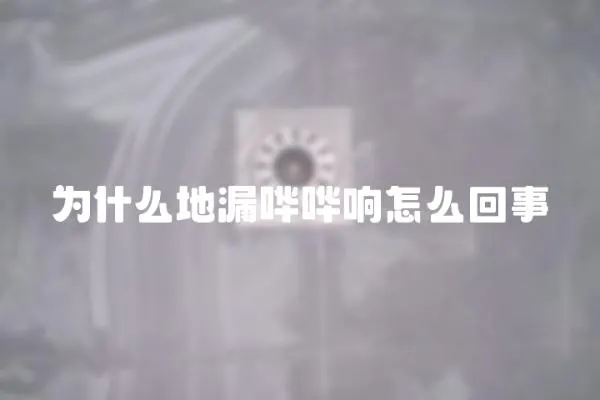 為什么地漏嘩嘩響怎么回事