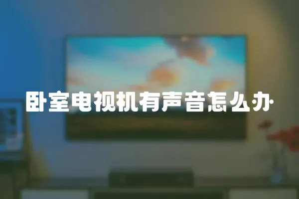 臥室電視機有聲音怎么辦