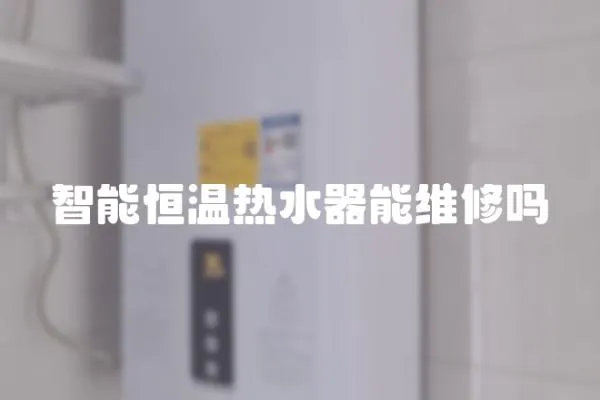 智能恒溫?zé)崴髂芫S修嗎