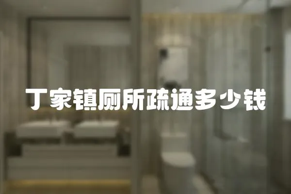 丁家鎮(zhèn)廁所疏通多少錢