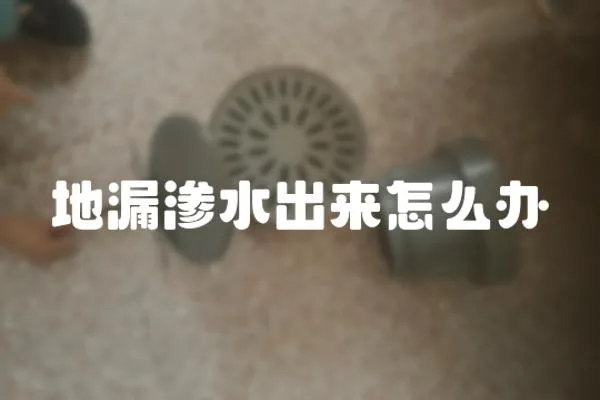 地漏滲水出來(lái)怎么辦