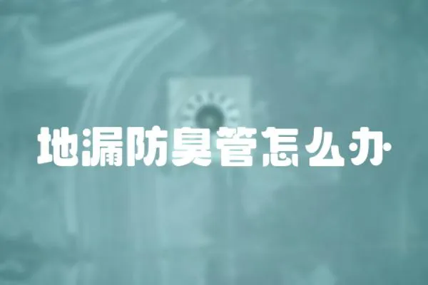 地漏防臭管怎么辦