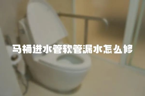 馬桶進水管軟管漏水怎么修