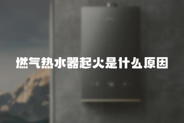 燃氣熱水器起火是什么原因