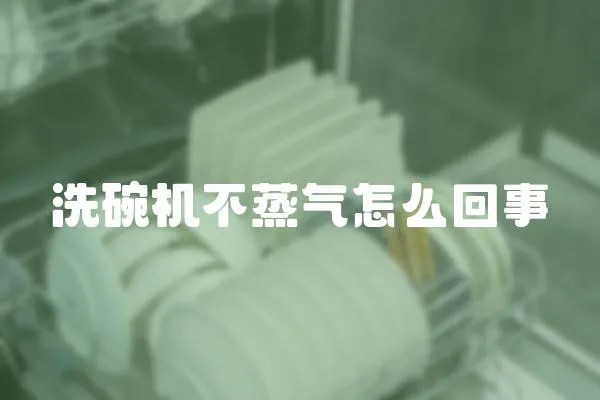 洗碗機(jī)不蒸氣怎么回事