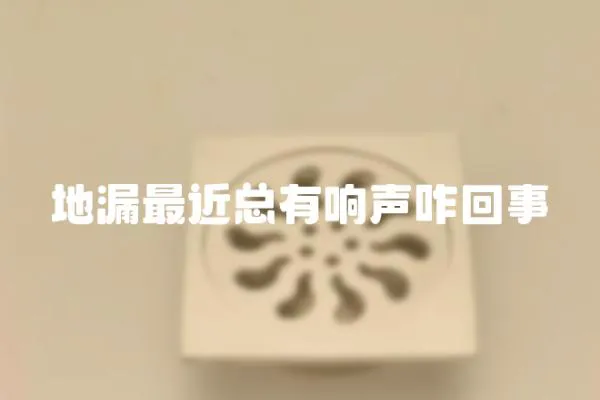 地漏最近总有响声咋回事