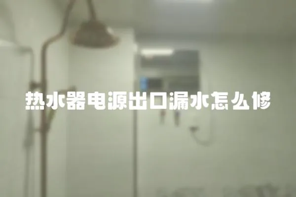 熱水器電源出口漏水怎么修