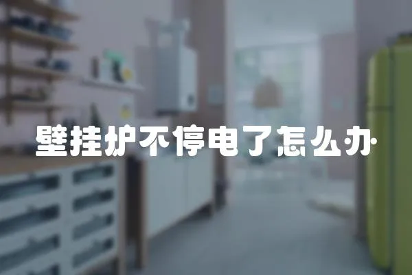 壁掛爐不停電了怎么辦