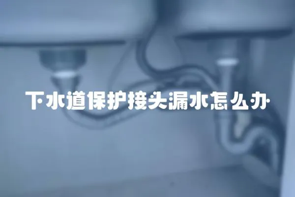 下水道保護接頭漏水怎么辦