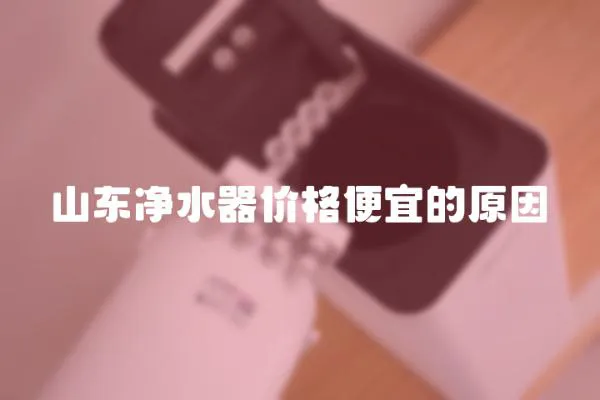 山東凈水器價格便宜的原因
