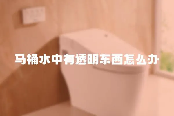 馬桶水中有透明東西怎么辦