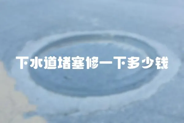 下水道堵塞修一下多少錢