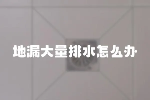 地漏大量排水怎么辦