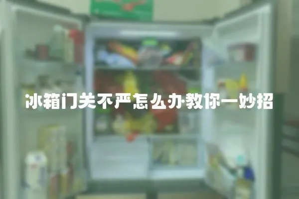 冰箱門關(guān)不嚴怎么辦教你一妙招