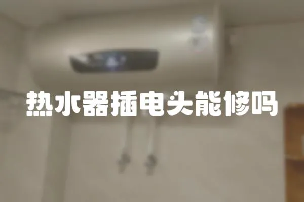熱水器插電頭能修嗎