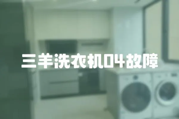 三羊洗衣機04故障