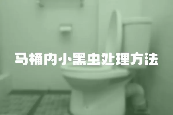 馬桶內小黑蟲處理方法