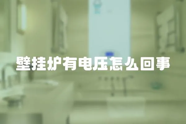 壁掛爐有電壓怎么回事