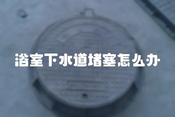 浴室下水道堵塞怎么辦