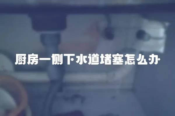 廚房一側下水道堵塞怎么辦