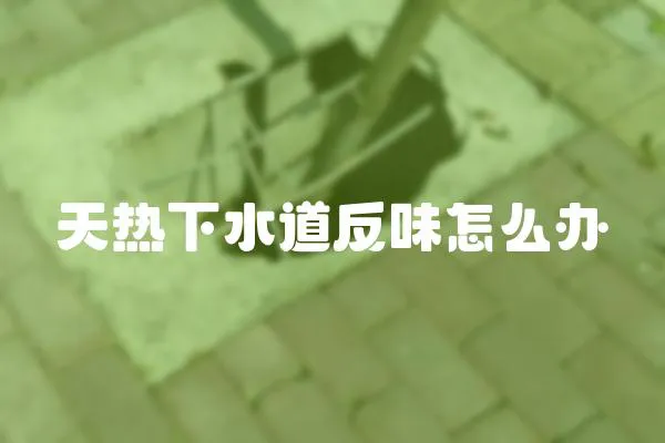 天熱下水道反味怎么辦