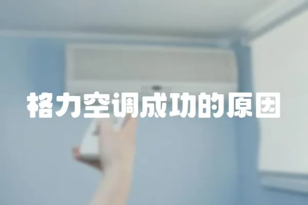 格力空調(diào)成功的原因